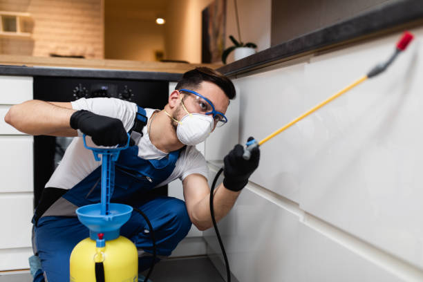Best Emergency Pest Control  in Fort Meade, MD