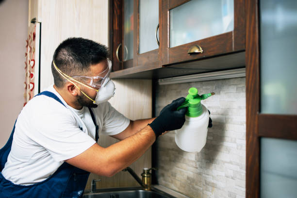 Best Pest Inspection Near Me  in Fort Meade, MD