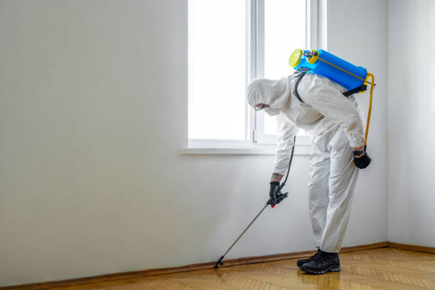 Best Flea Control Services  in Fort Meade, MD