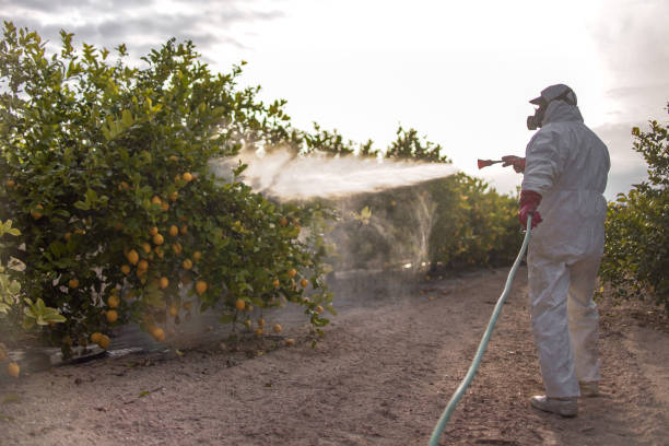 Best Residential Pest Control  in Fort Meade, MD