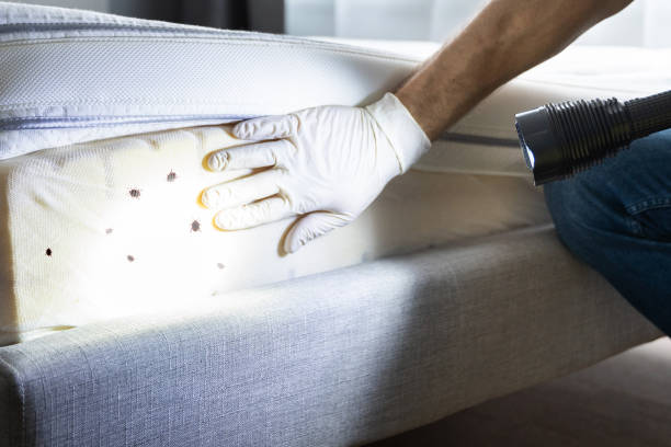 Pest Prevention Services in Fort Meade, MD