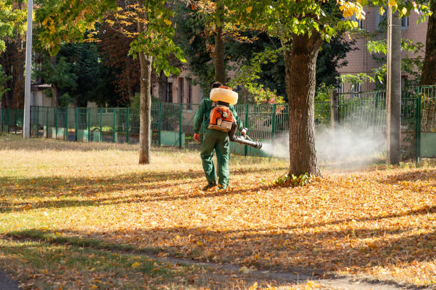 Professional Pest Control in Fort Meade, MD