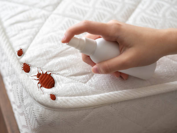Best Ant Control Services  in Fort Meade, MD