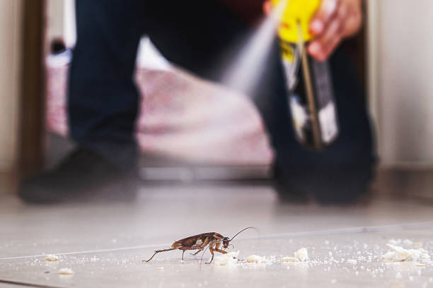 Best Wasp Removal Services  in Fort Meade, MD
