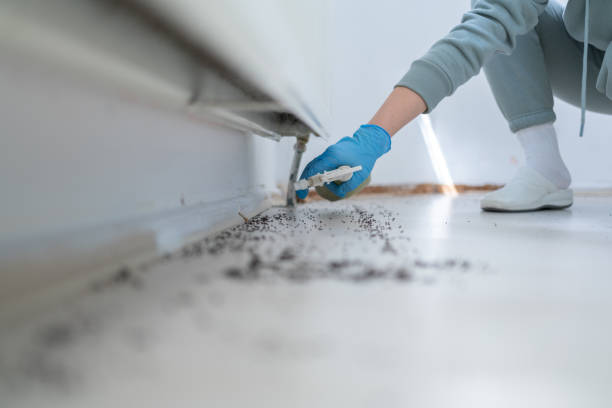 Best Wasp Removal Services  in Fort Meade, MD