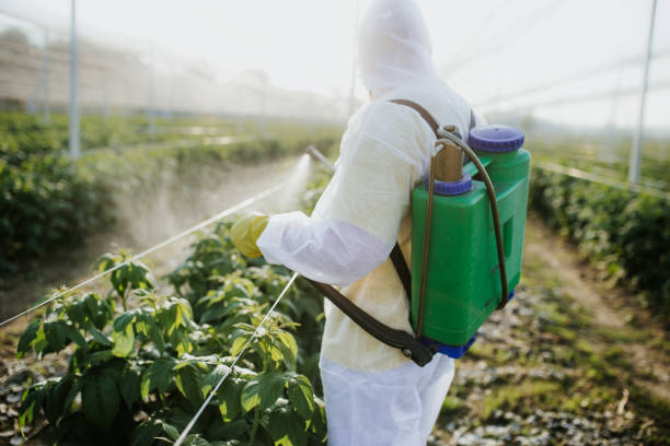 Best Pest Control Near Me in Fort Meade, MD
